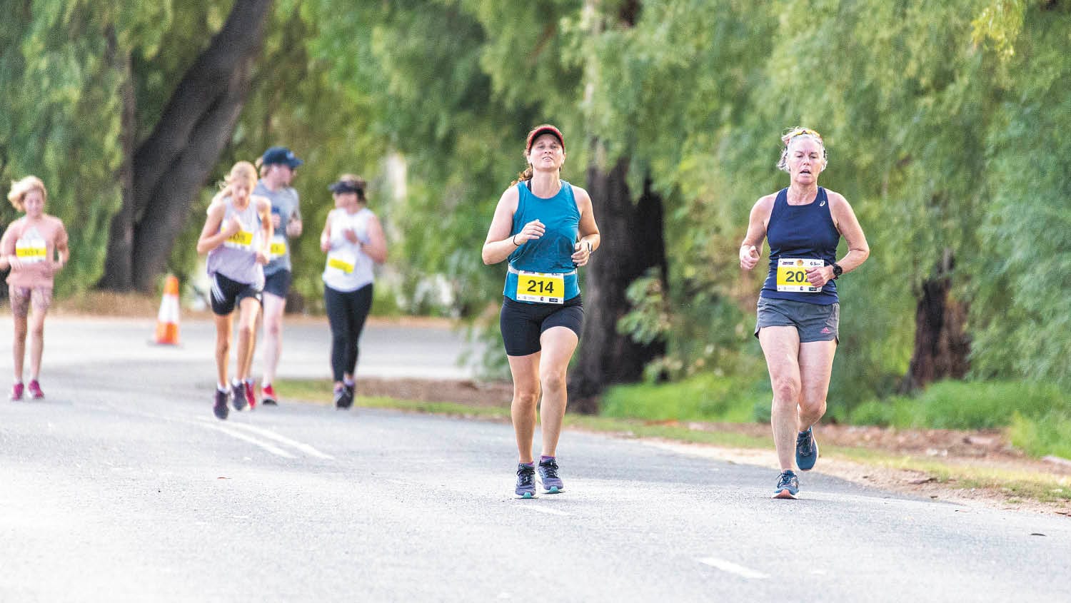 30 Years for Bridge to Bridge