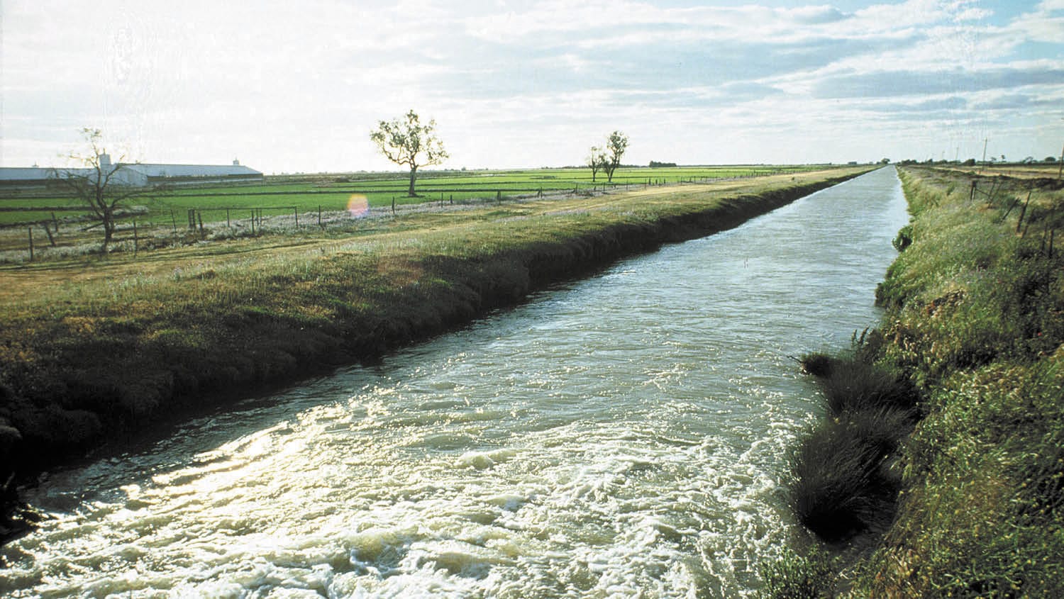 Floodplain Harvesting: Illegal