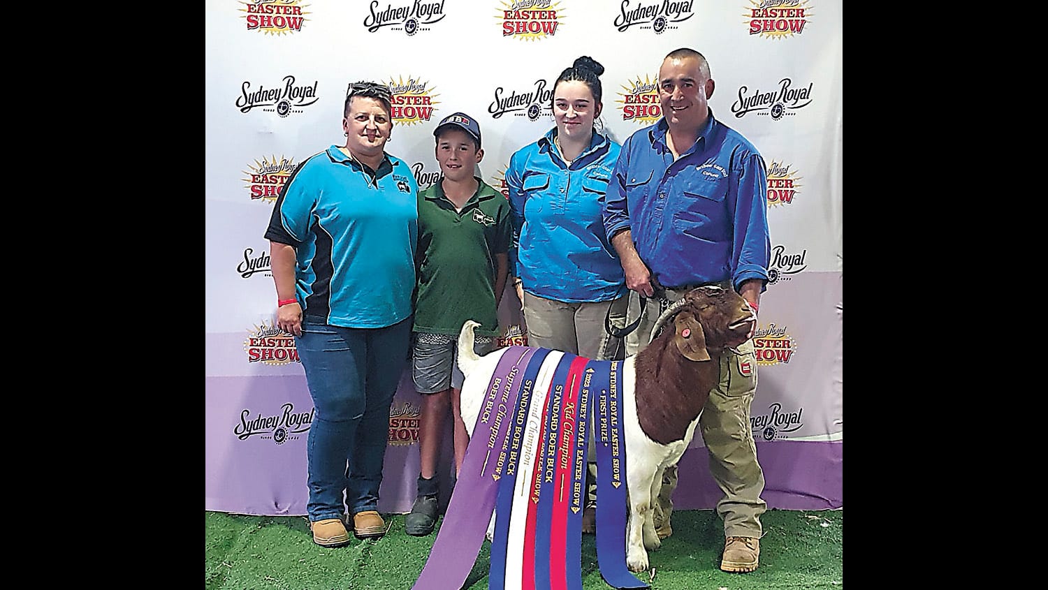 Sydney Show Goats