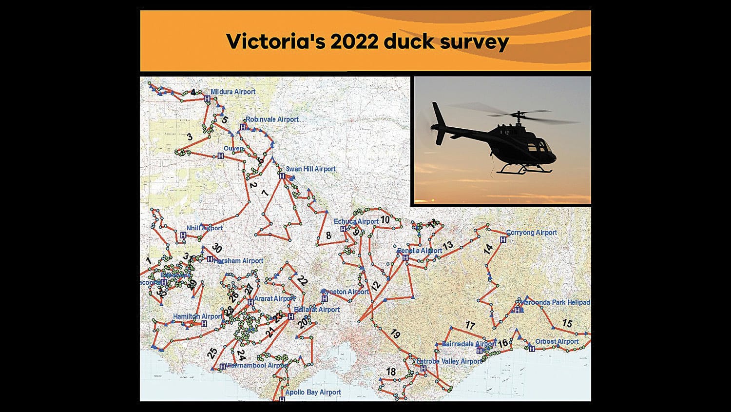 Quacking the Numbers