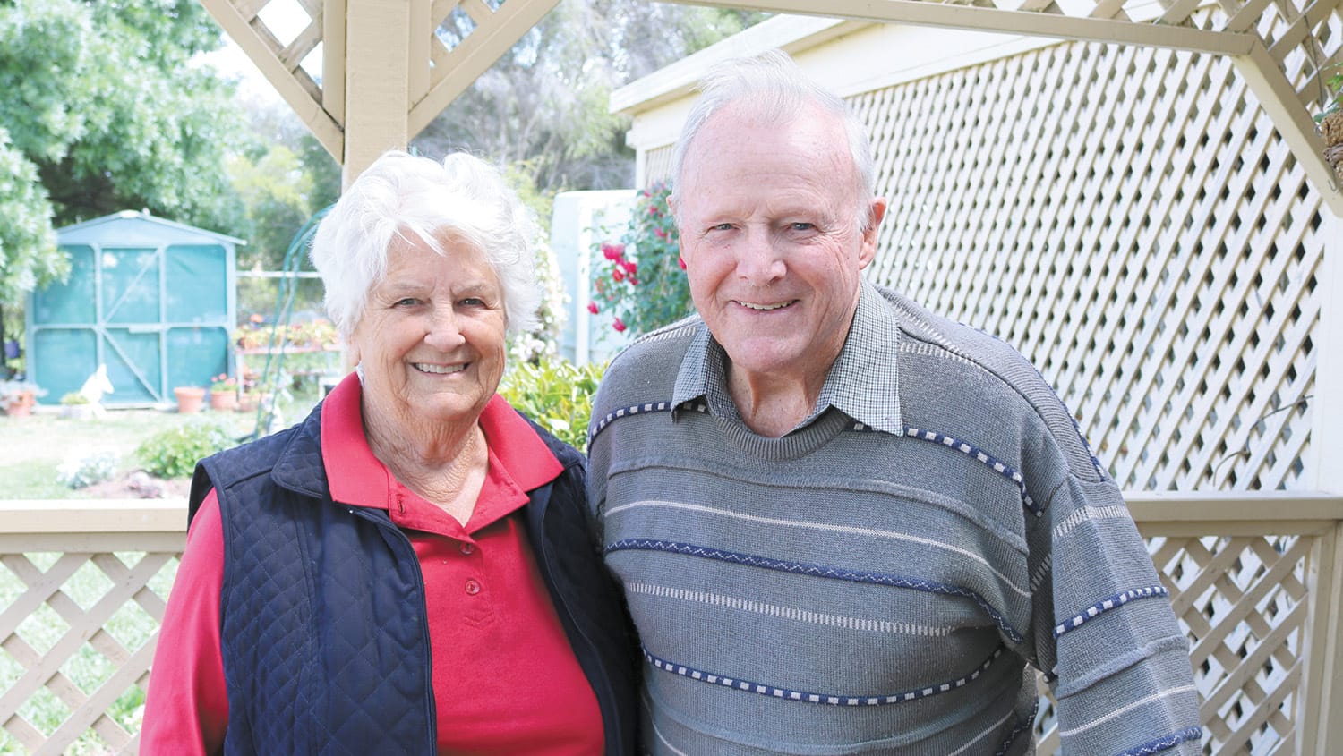 65 Years of Bliss