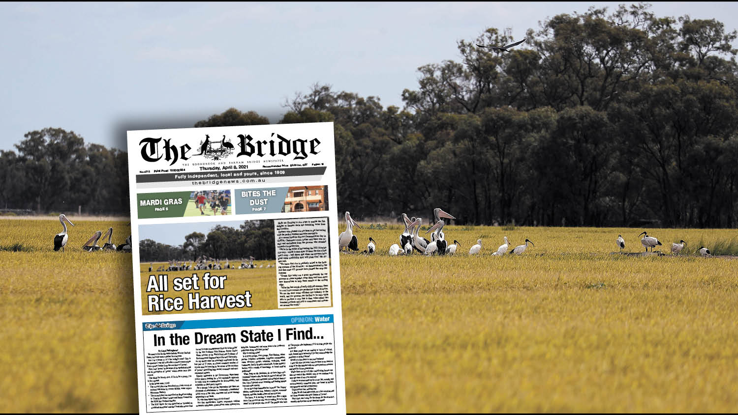 Thursday, April 8, 2021