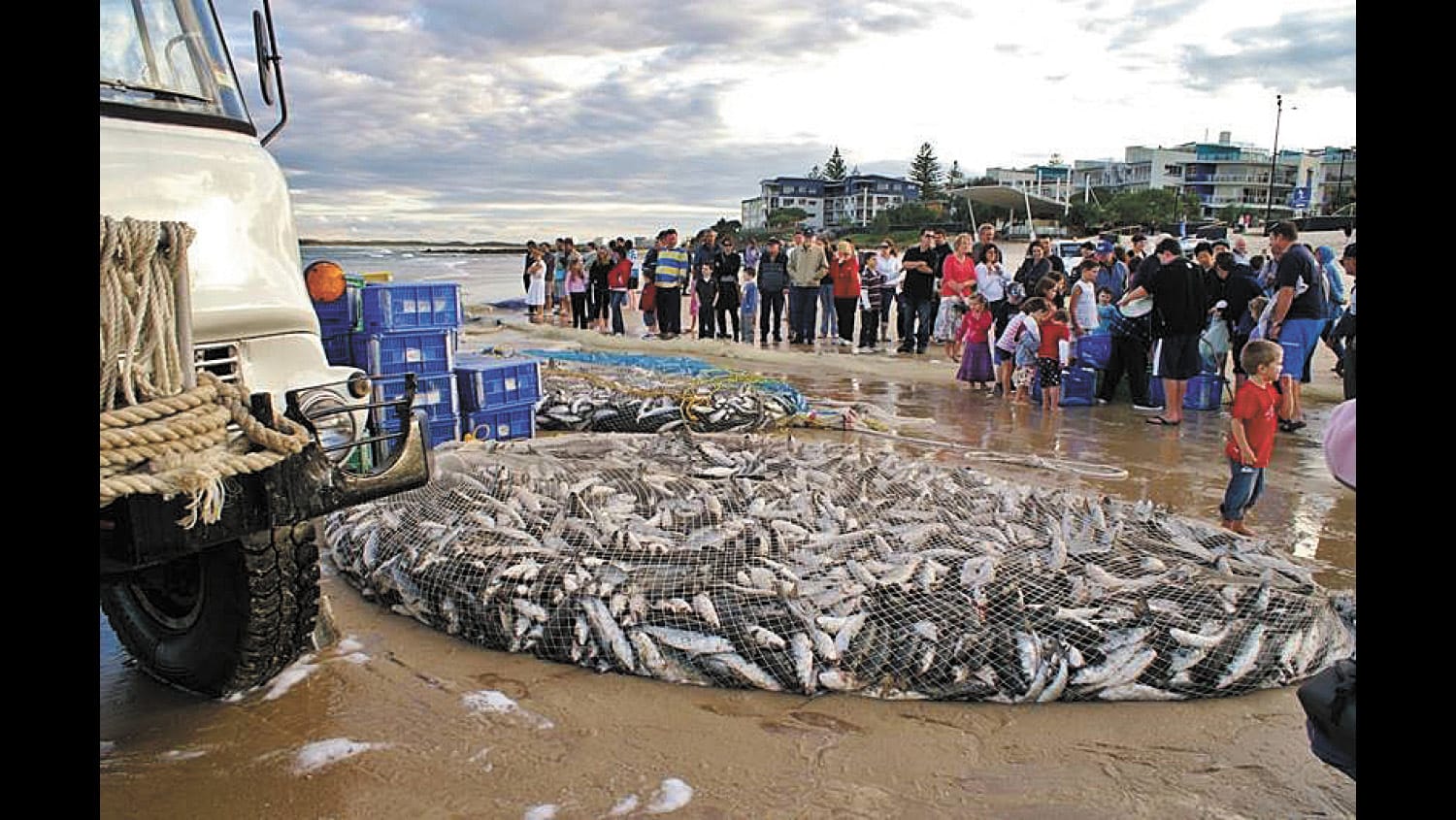 An Enormous Catch of Fish