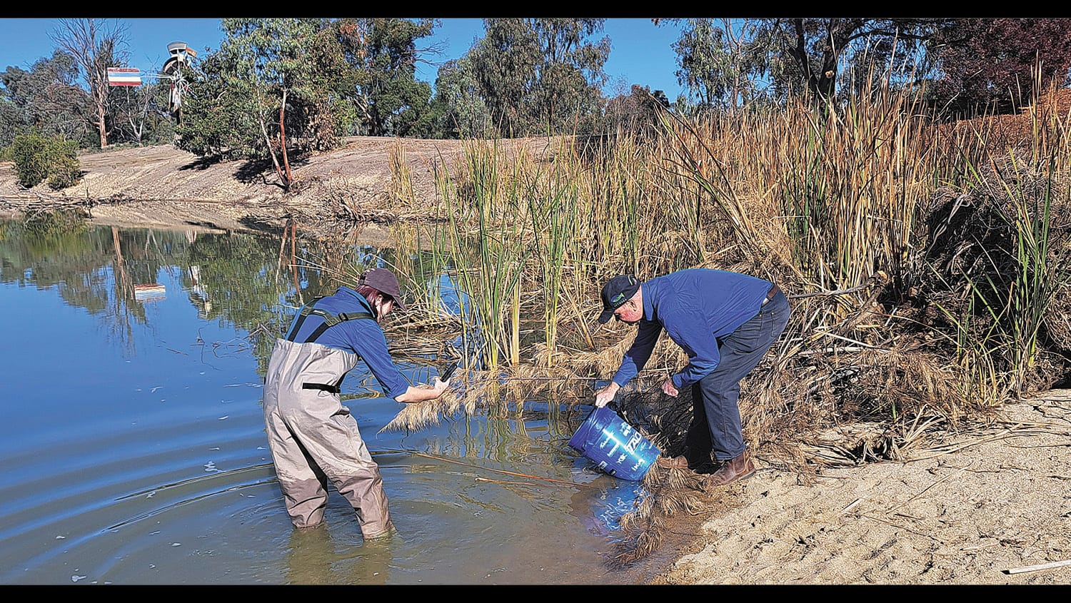 Small-Bodied Fish Nursery at Barham Lake
