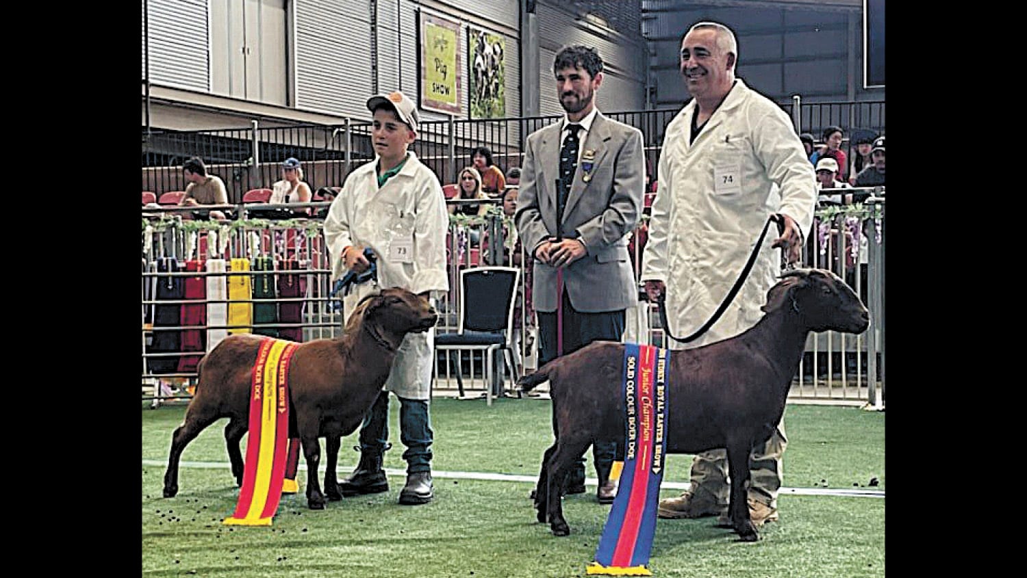 Goat That Winning Feeling?
