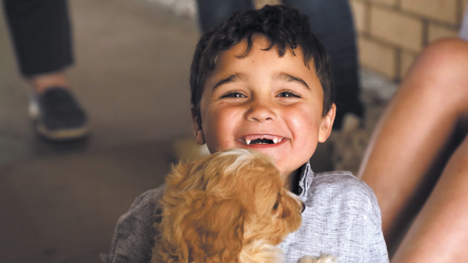 A Boy’s Best Friend