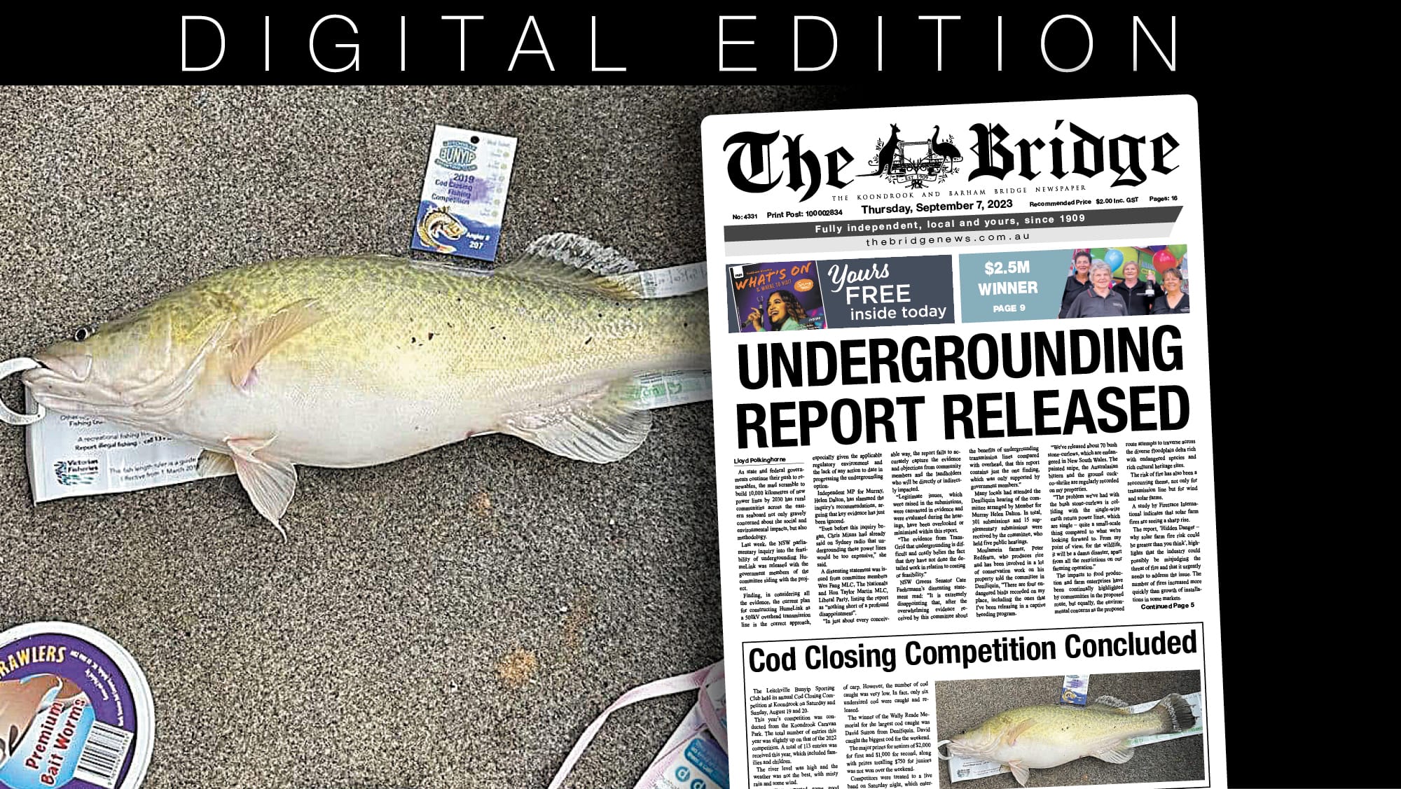 Thursday, September 7, 2023