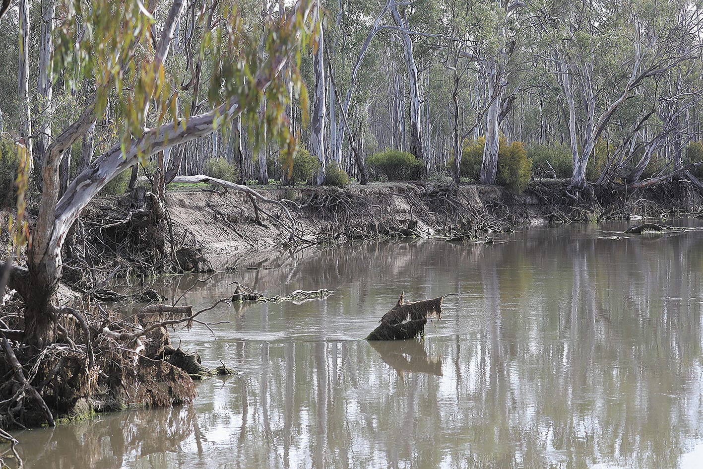 Water Wars: Labor and Greens Unite to Drain Rural Communities