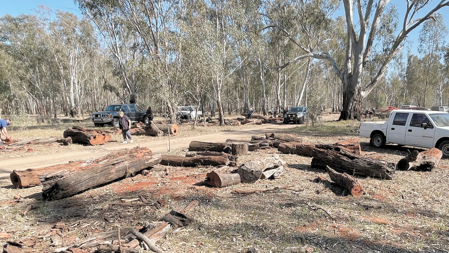 Barmah Firewood Collection