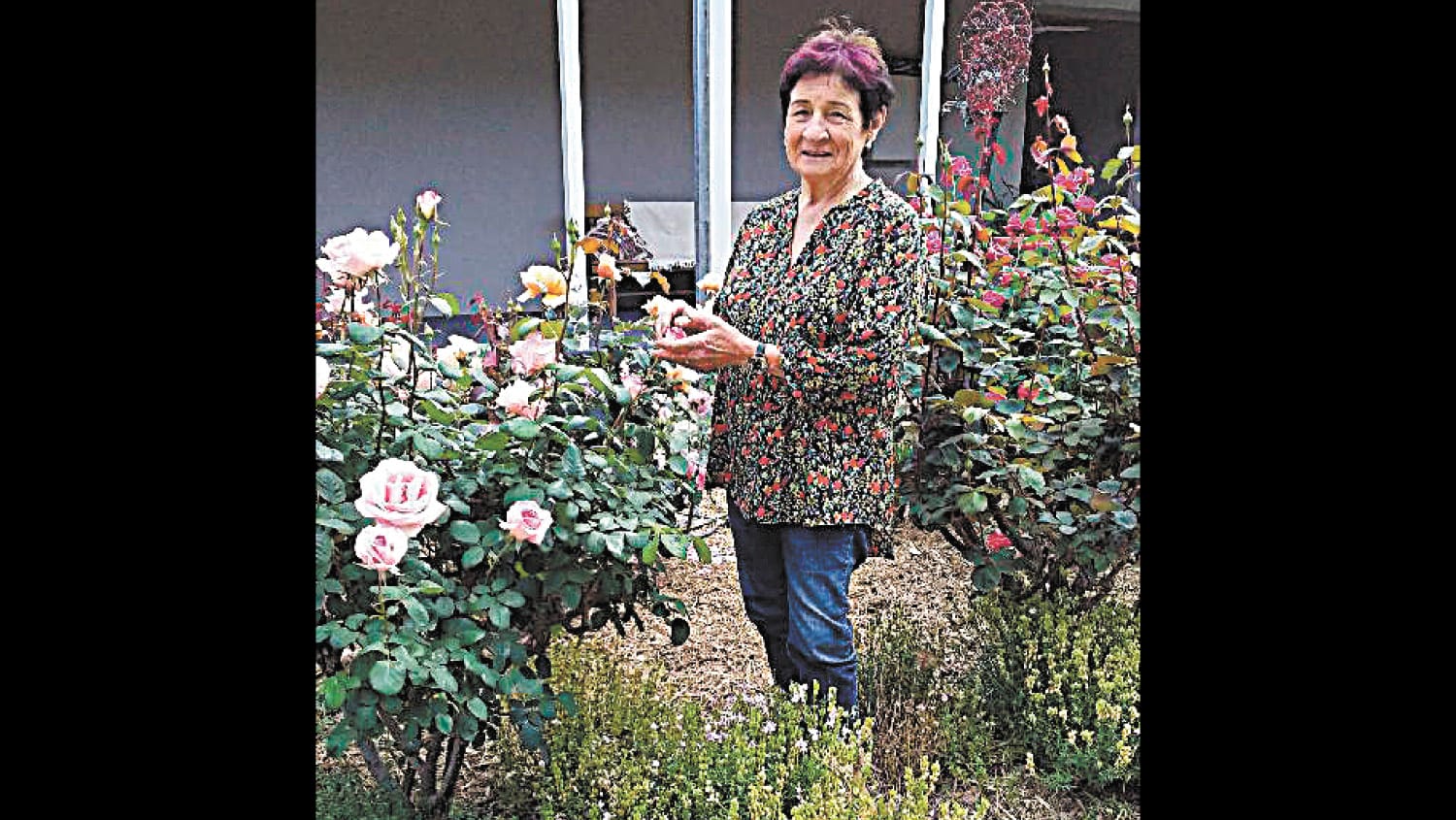 Cohuna Garden Lovers