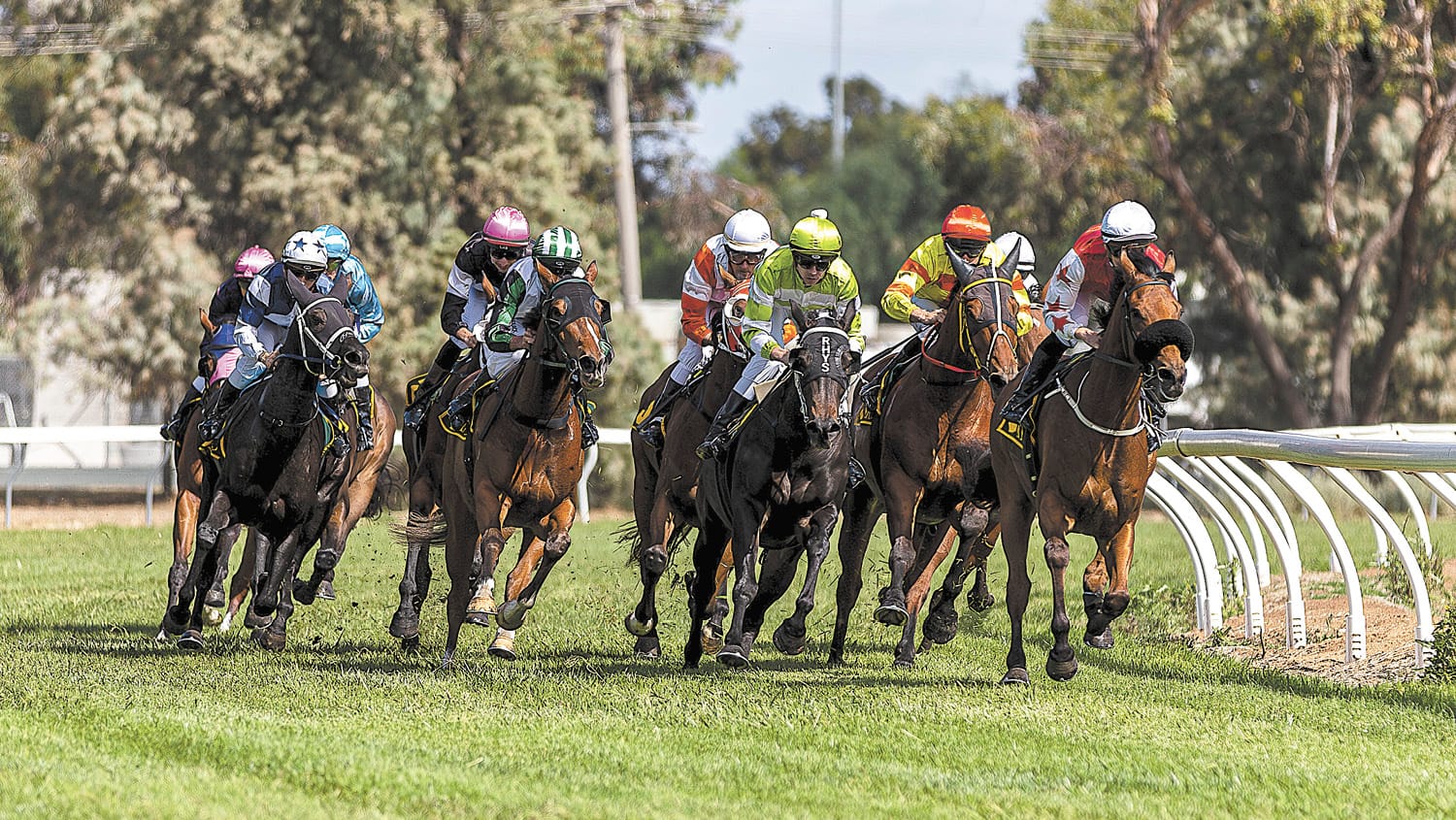 Kerang Awarded Mildura Race Meeting