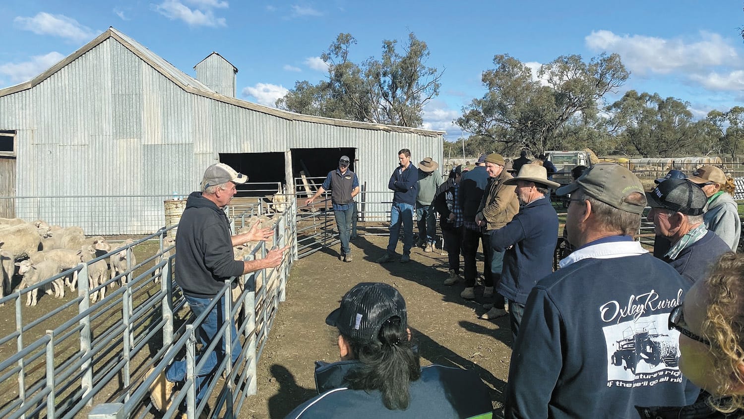 SHEEP WORKSHOPS ON THE MARK