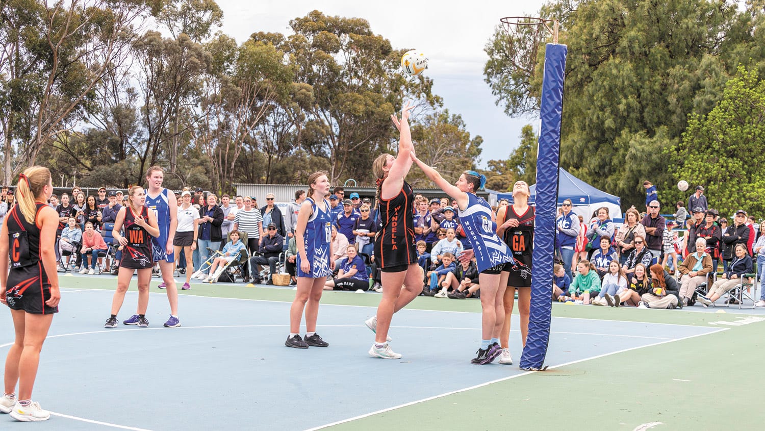 Golden Rivers netball round-up