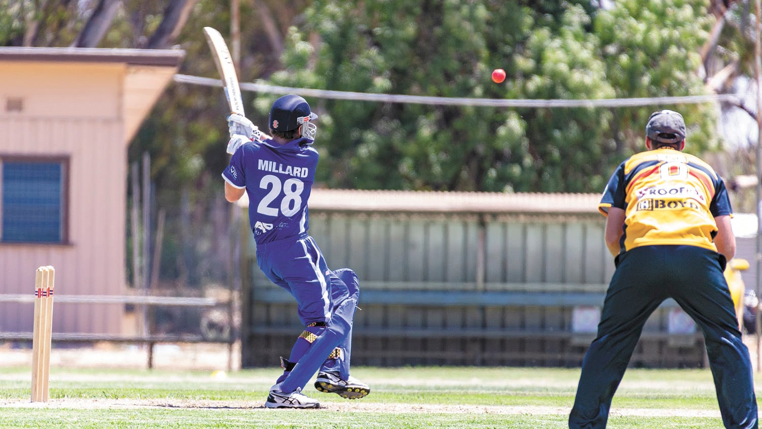 Murrabit Dominates T20