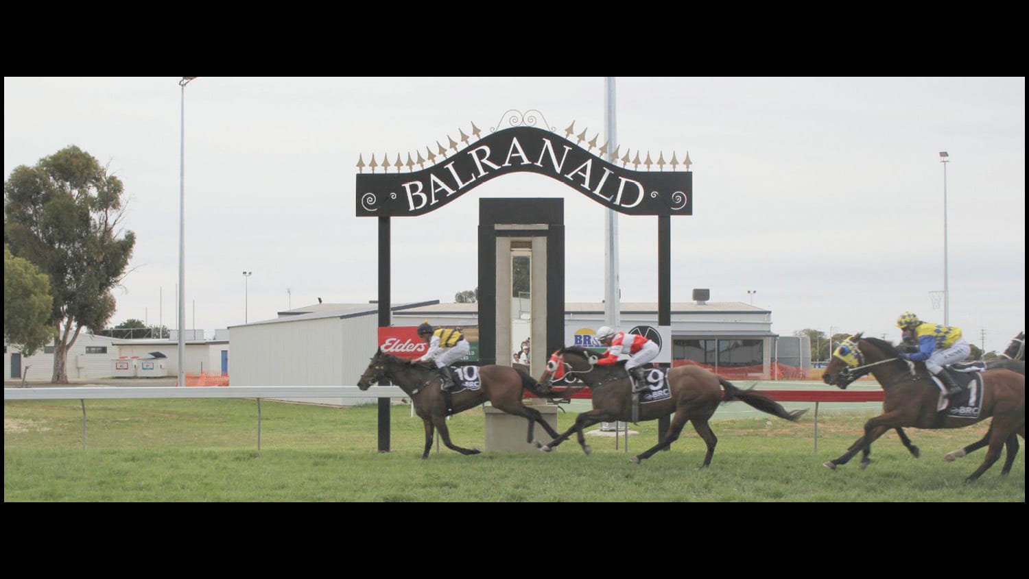 Rutilant wins Balranald Cup