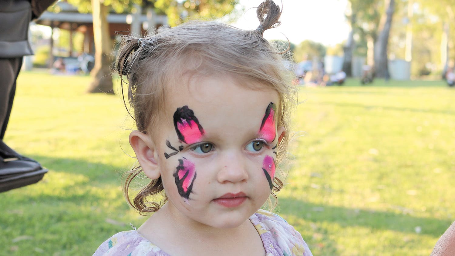 New Year’s Eve in the Park