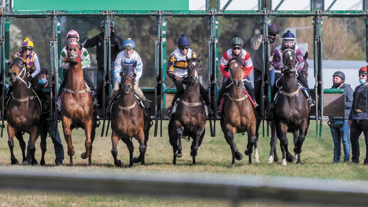 Ready for Spring Racing