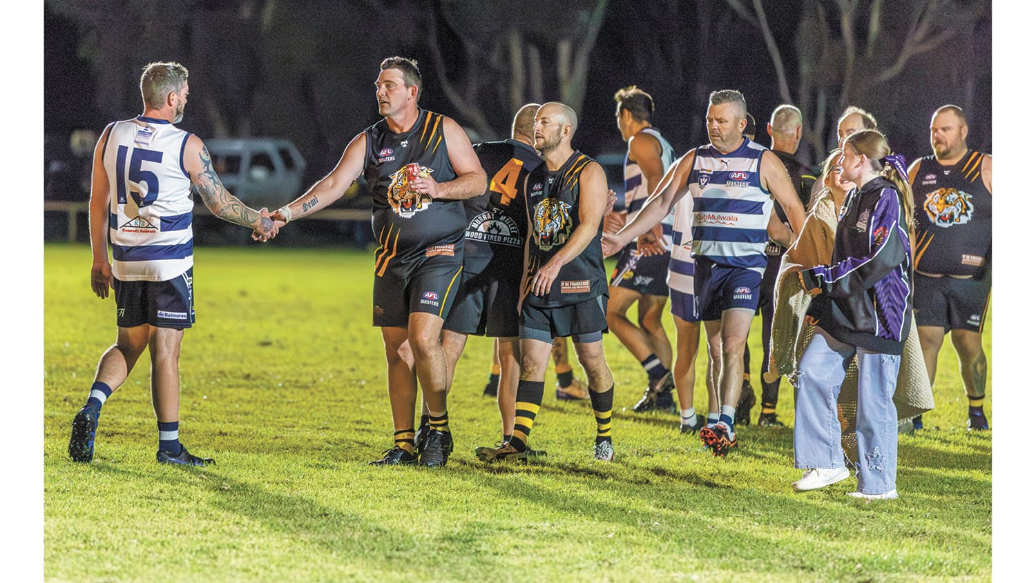 Tigers bitten by the pigeons