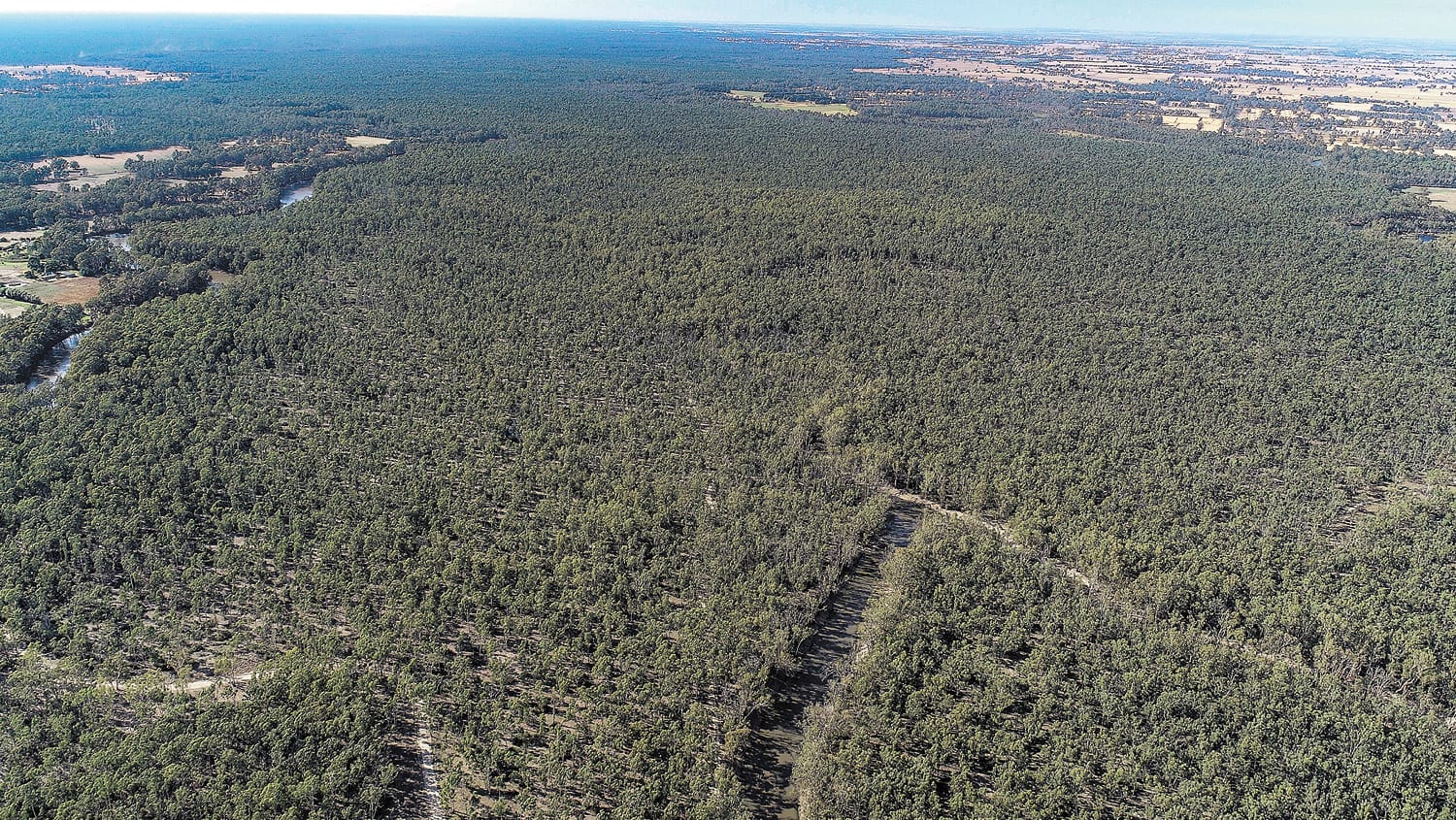 Timber Industry Chopped