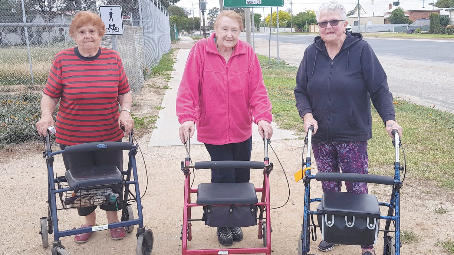Getting Wheely Healthy