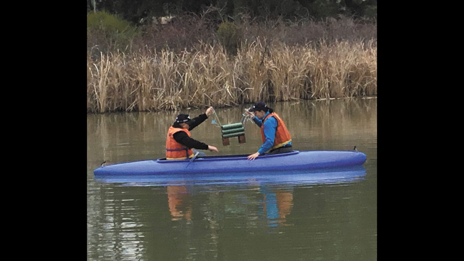 Hotels For Fish at Barham Lake