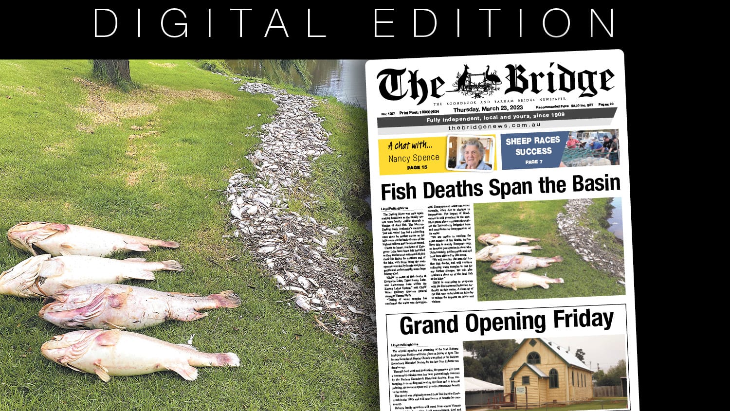 Thursday, March 23, 2023