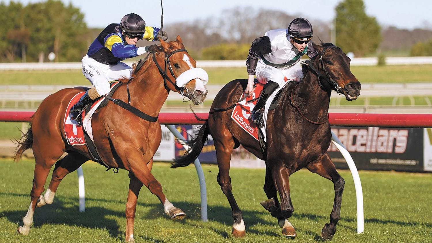 Another Win For Jye