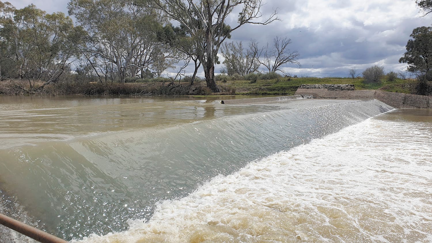 A trifecta of flows will have fish champing at the bit
