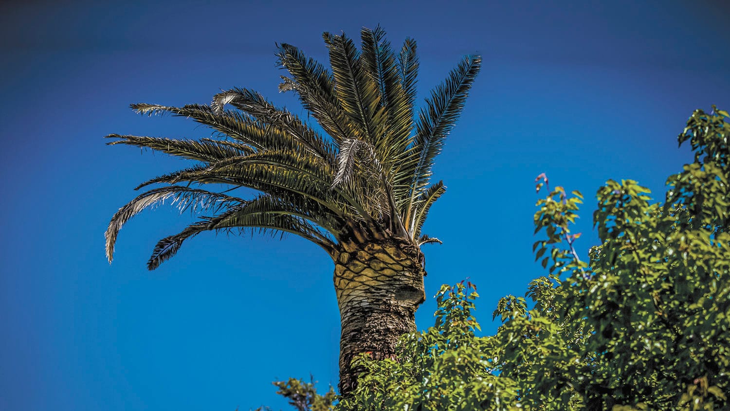 :-) Smilezone - October 28, 2021