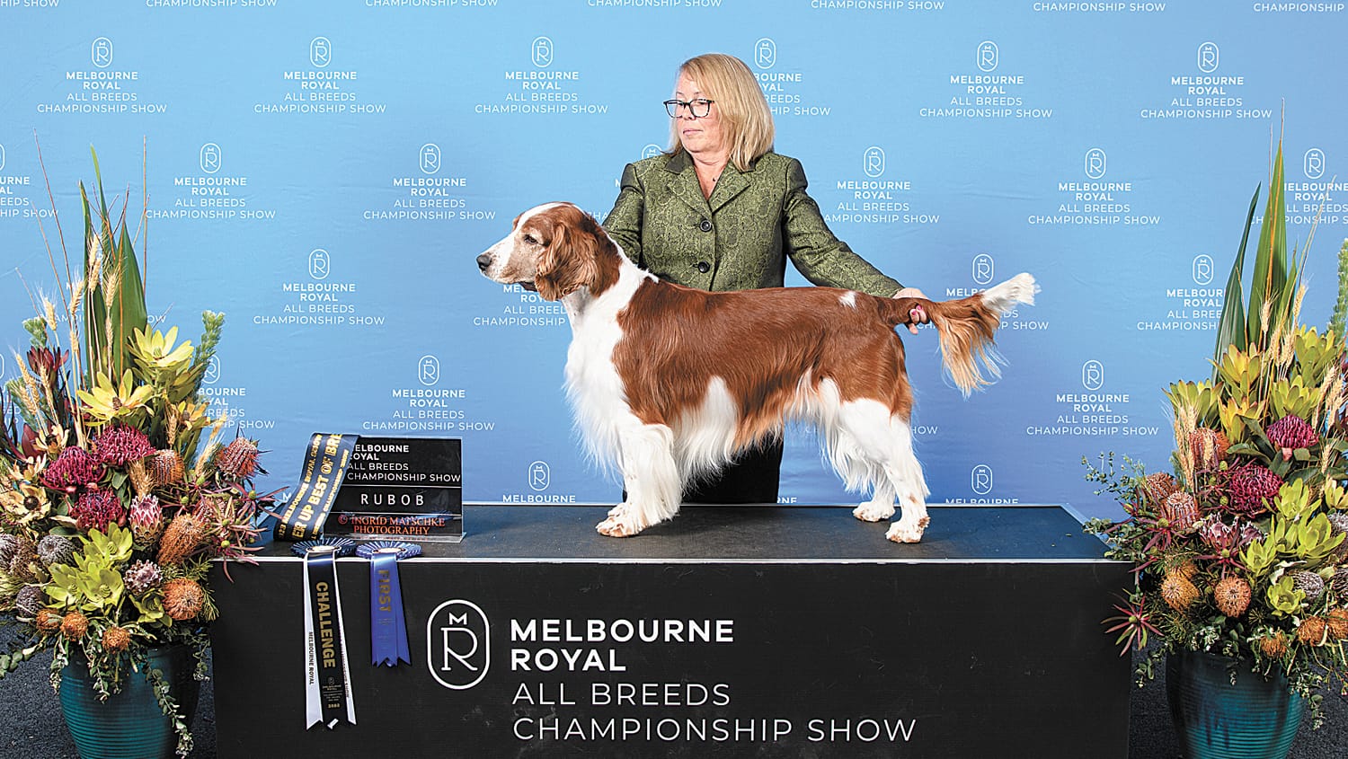 Royal Show Wrap-up