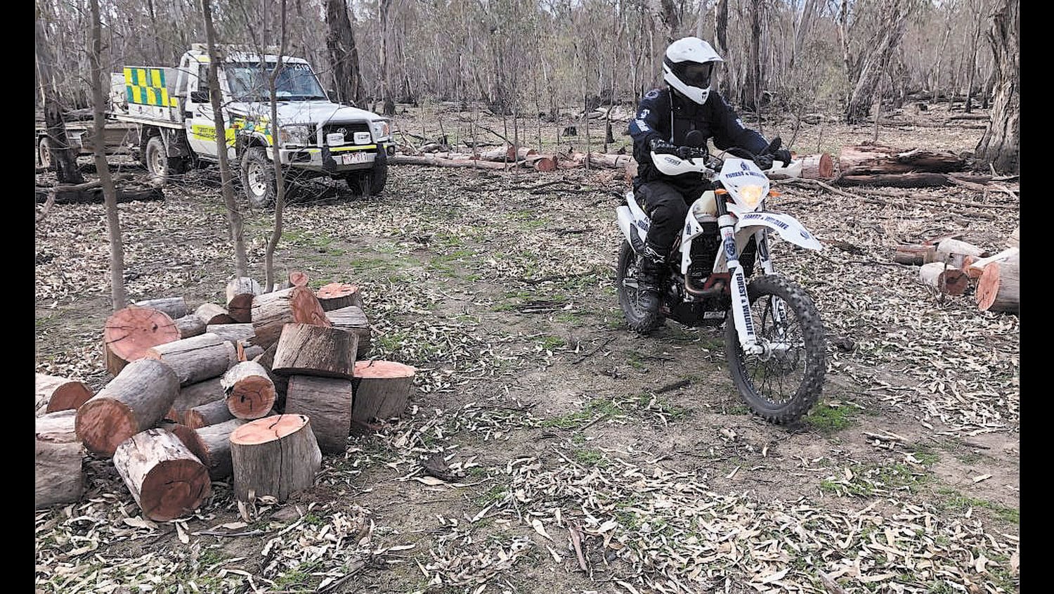 Winter warning for firewood sales