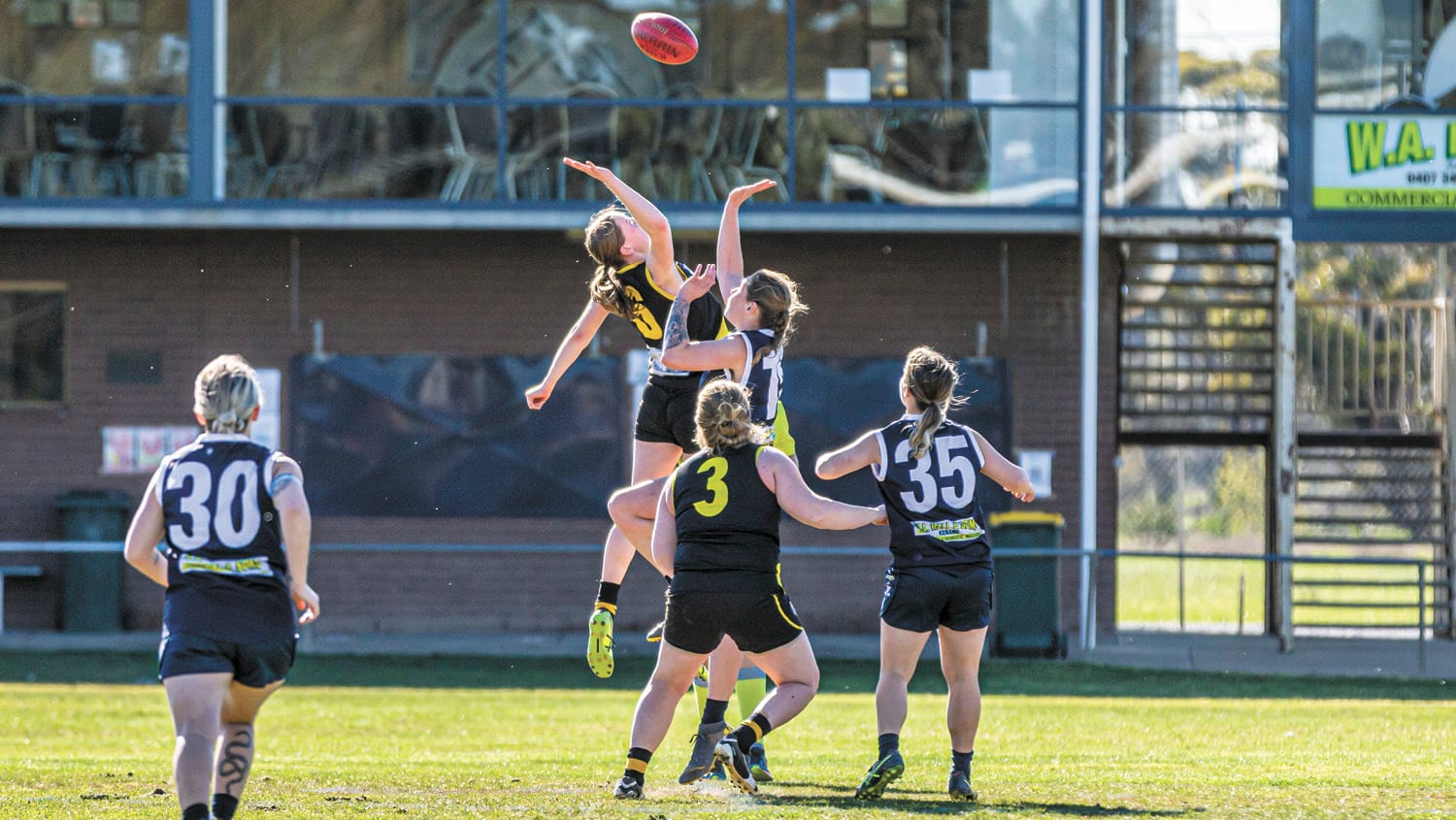 Blues Thump The Tigers