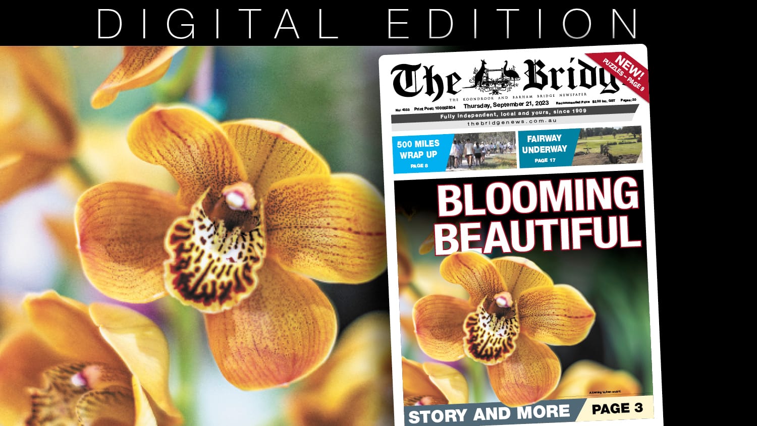 Thursday, September 21, 2023