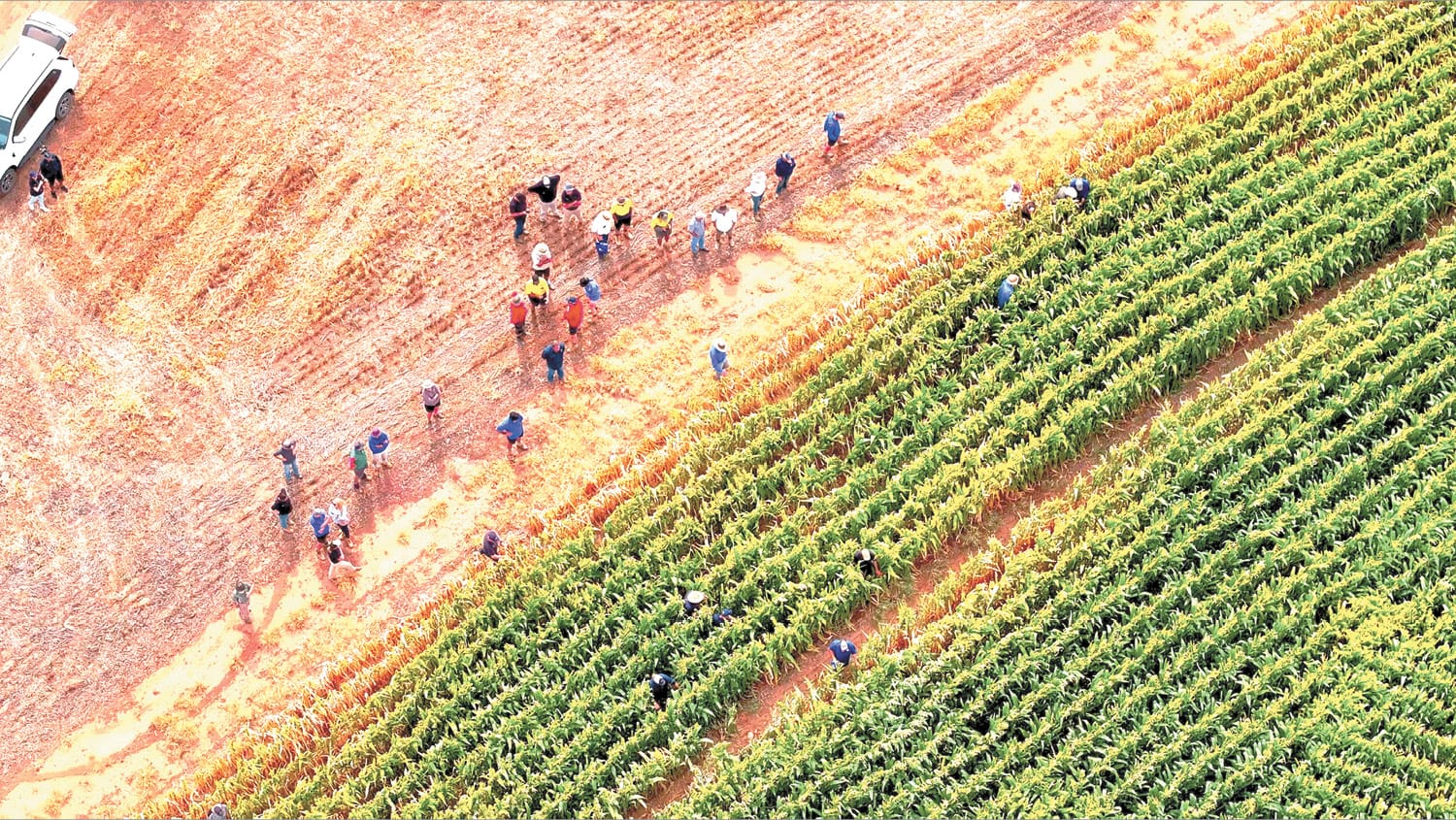 Irrigation Innovation Farm Tour strikes the right chord