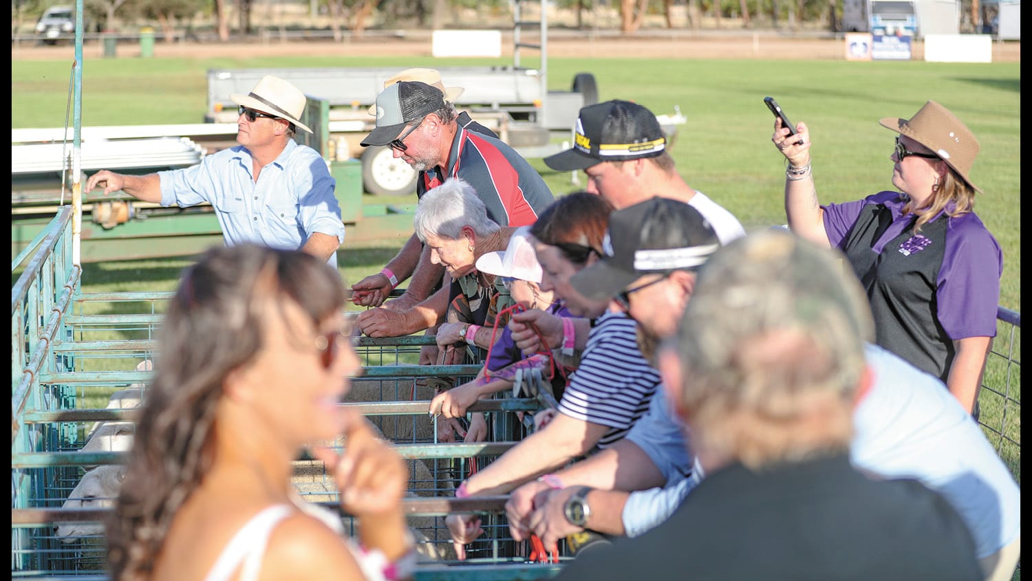 Wakool Sheep Races Bleating Successful
