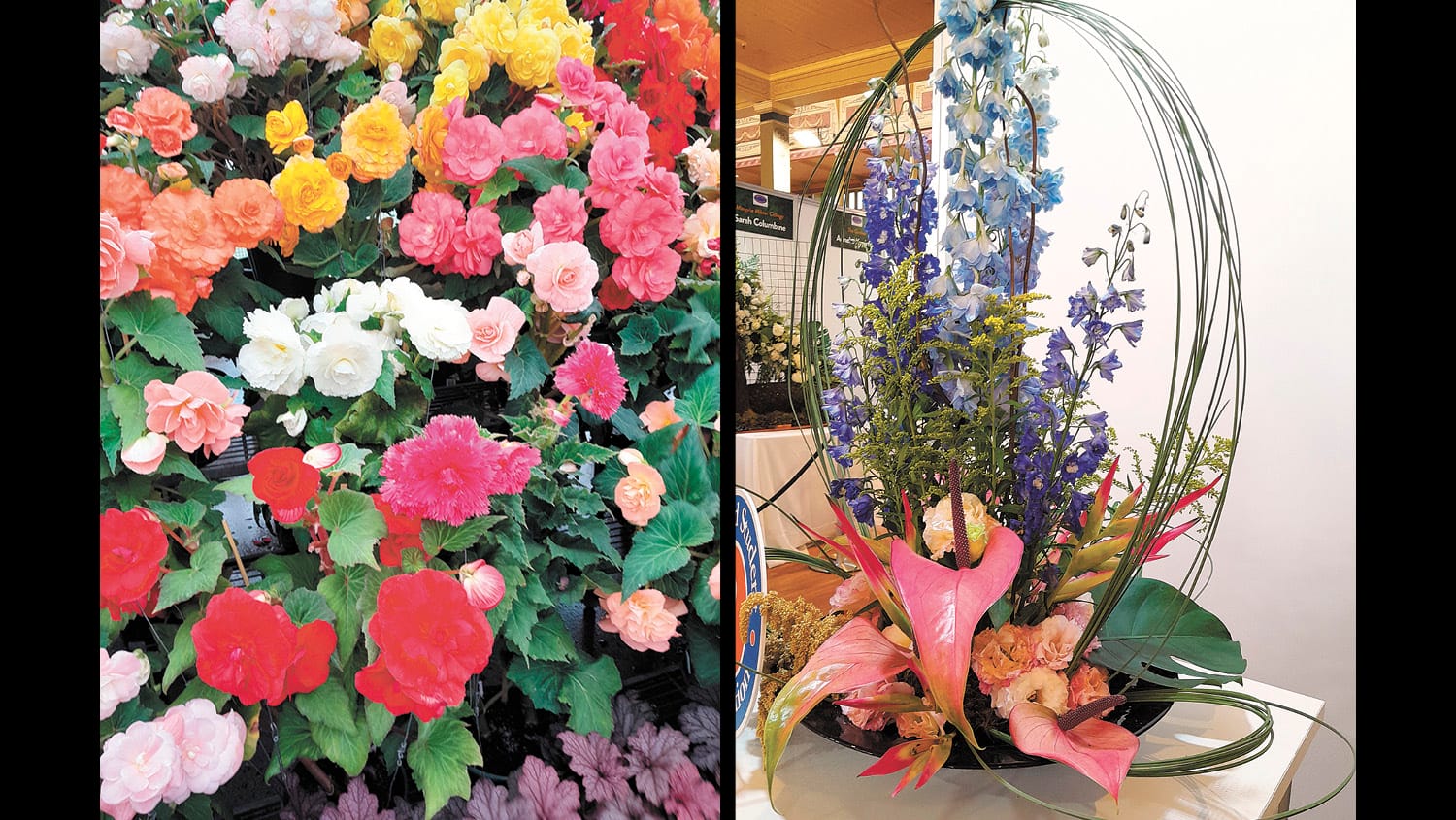 Garden Society - April 18, 2024