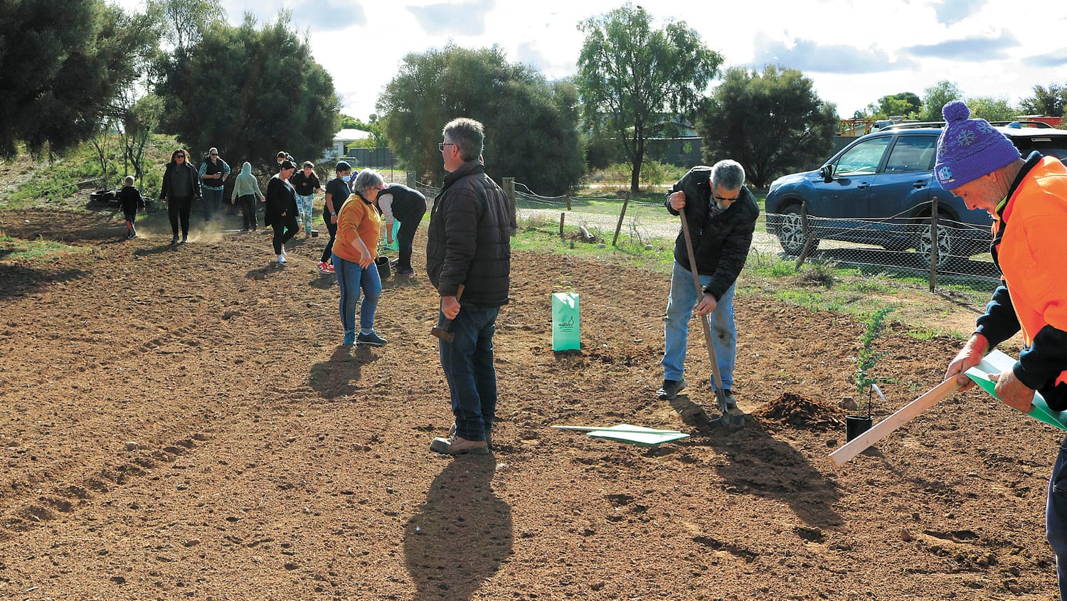 Trees Honour Queen’s Jubilee