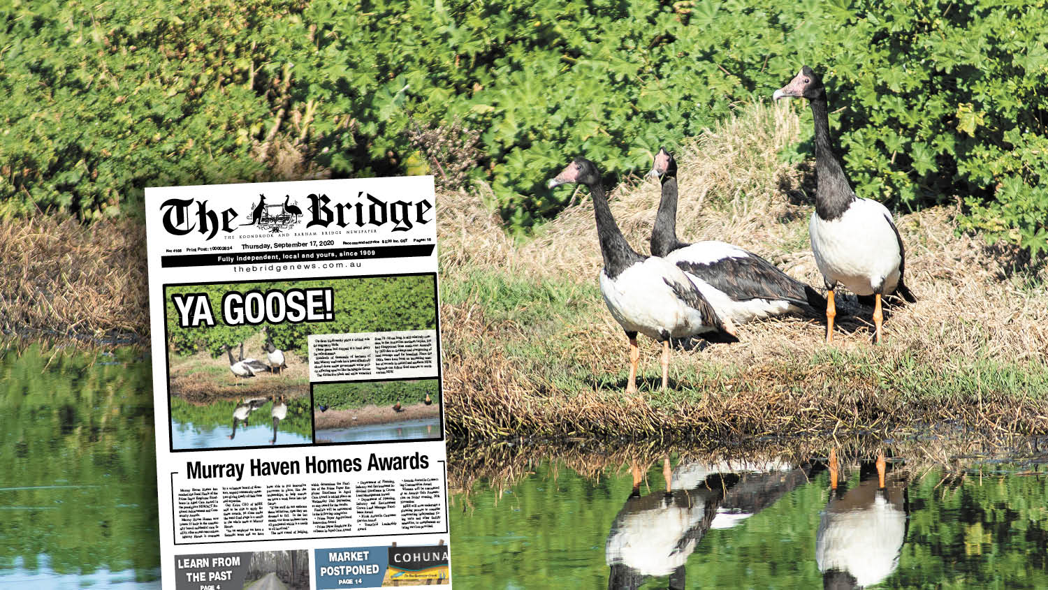 Thursday, September 17, 2020