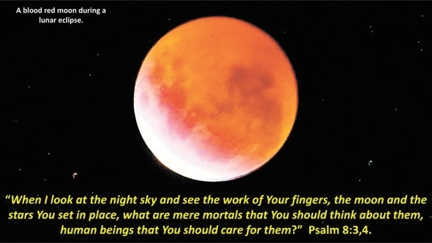 A Blood Moon
