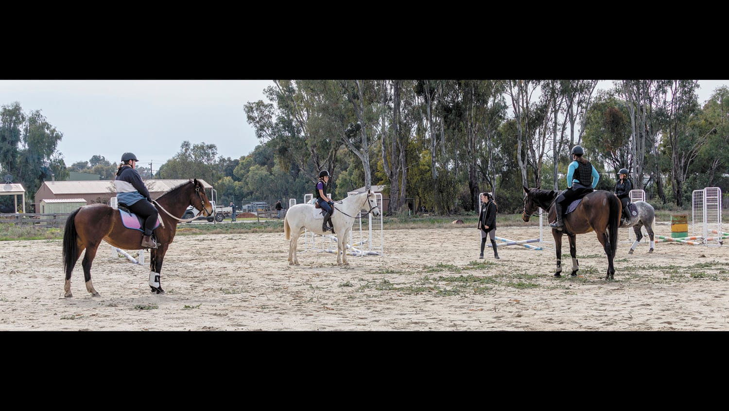 Barham Koondrook Pony Club growing equestrian