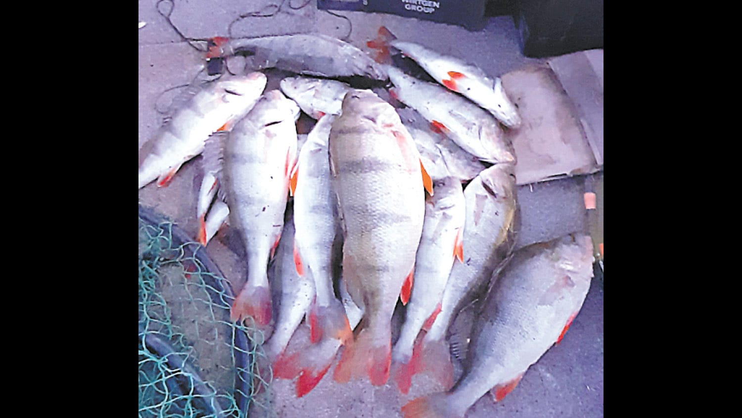 Fishing Report - November 16, 2023