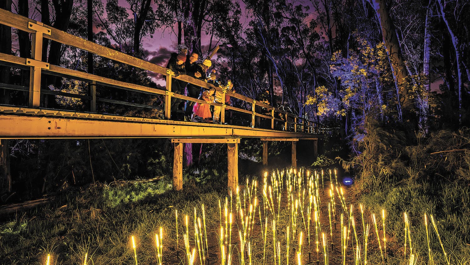 Moama Lights Sound And Light Show Cancelled