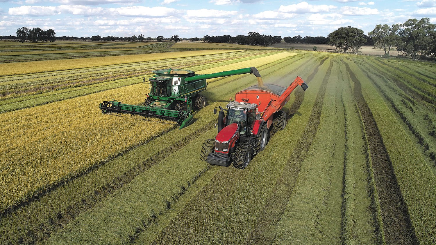 Harvest Begins
