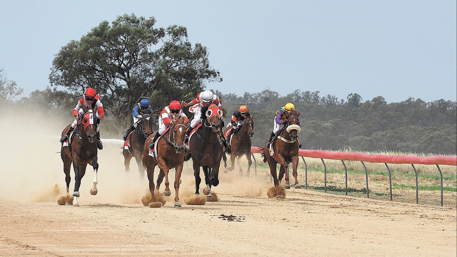 Cup Success at a Steamy Moulamein Race Meet