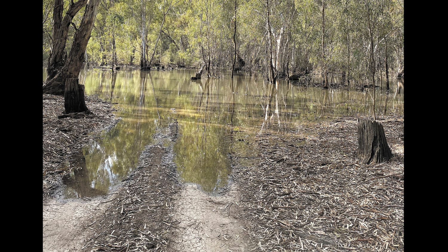 What Has Gone Wrong with Water Management?