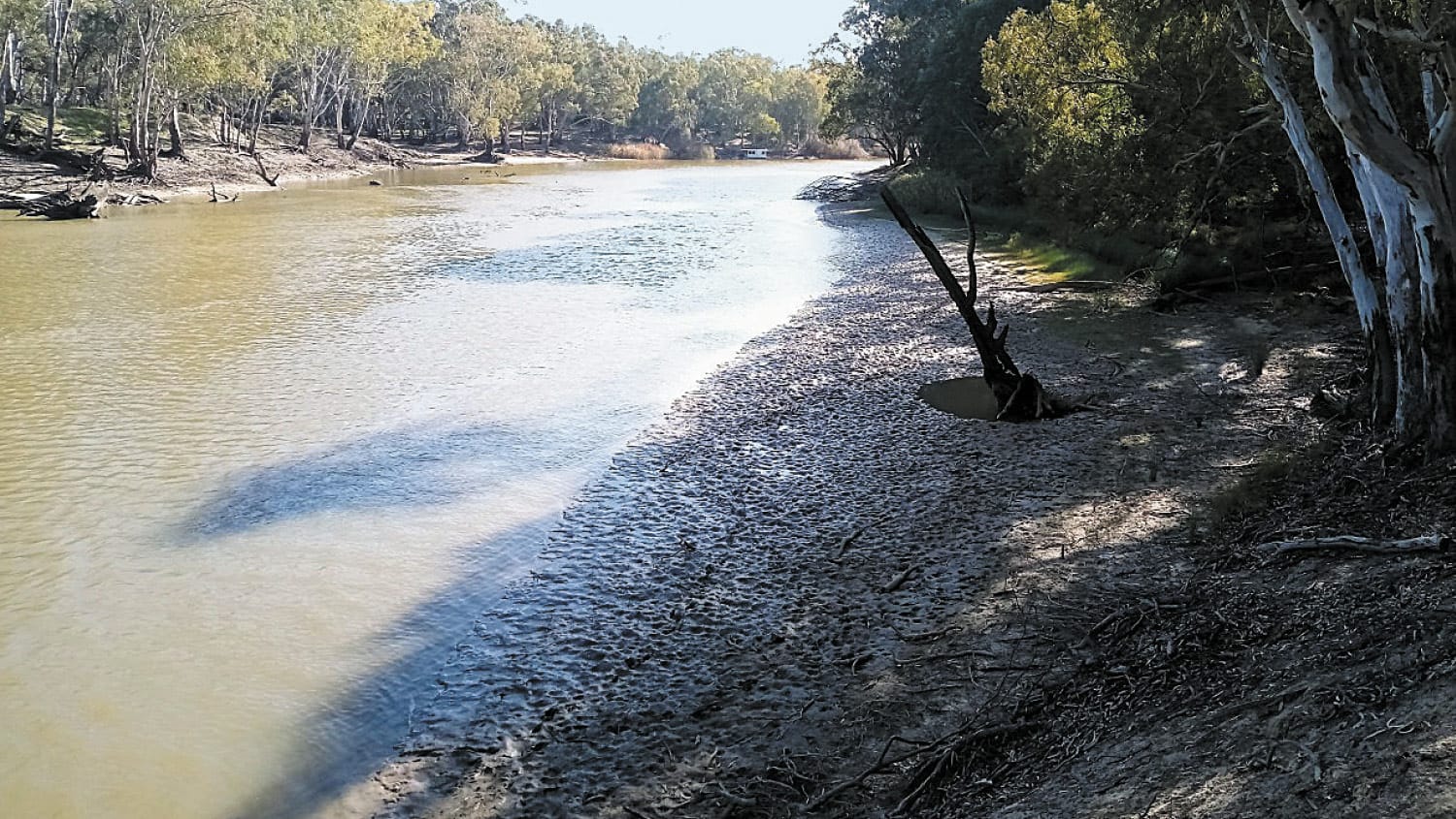 Free Flowing Rivers Needed for Winter