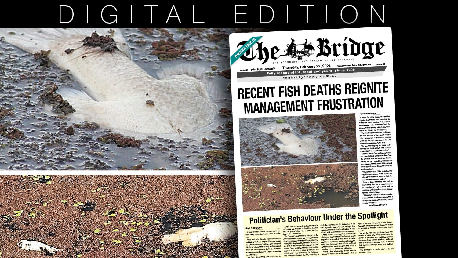 Thursday, February 22, 2024