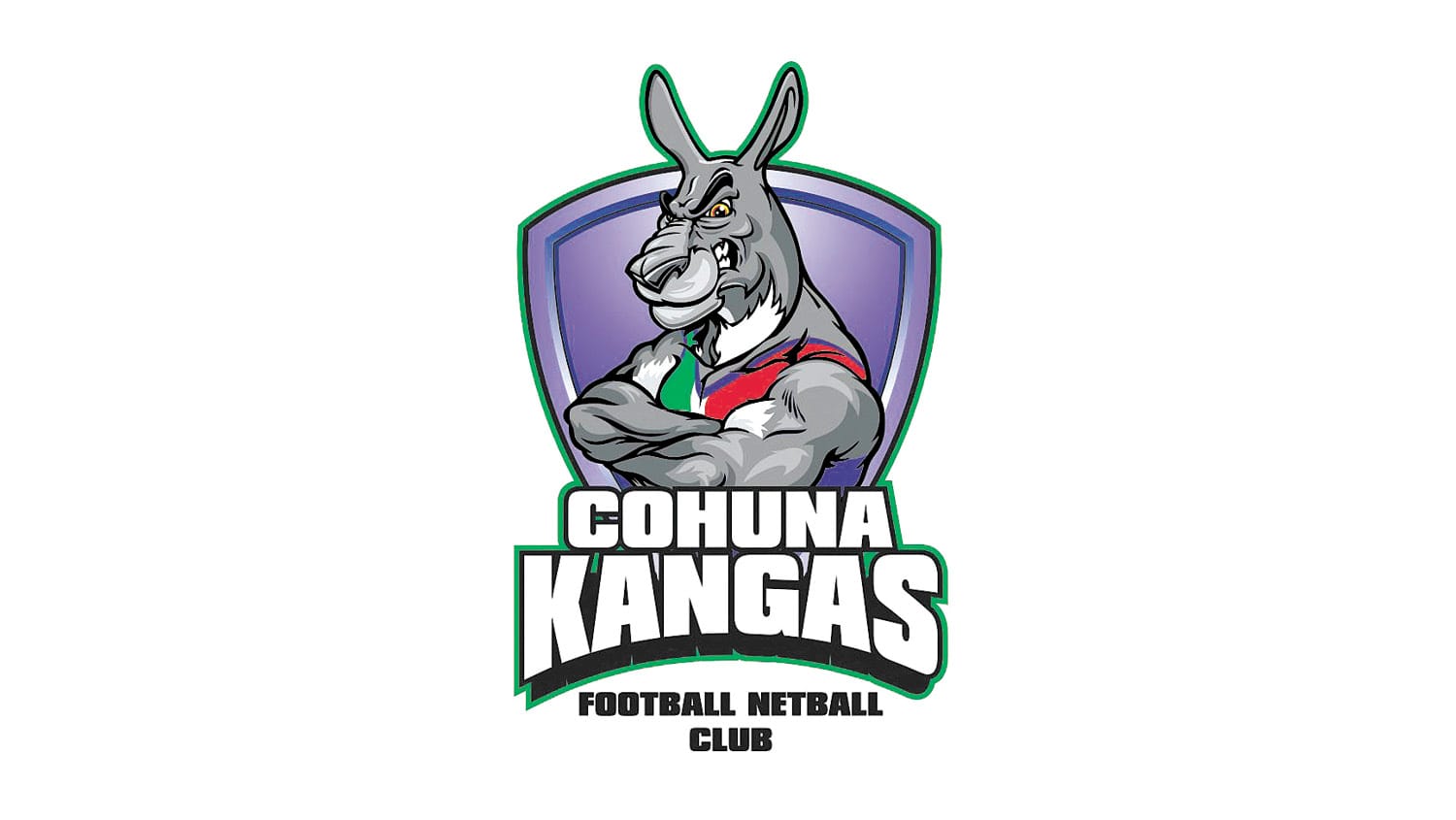 Johnson kicks three in Kangas' 25-point loss