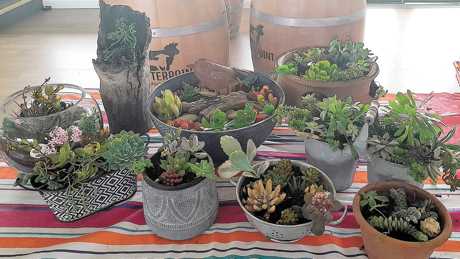 Garden Society - July 20, 2023