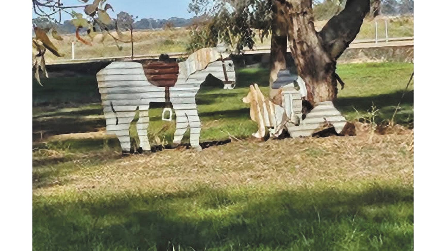 Wakool News - July 24, 2025